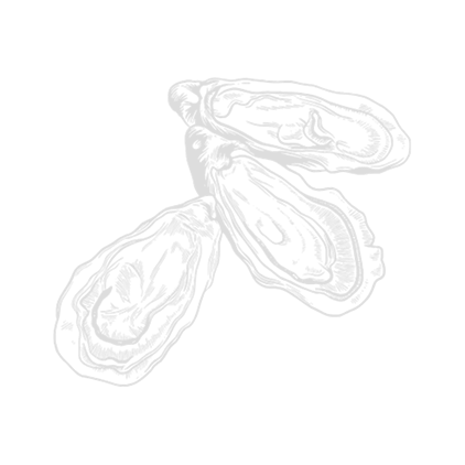 le goyen illustration huitres