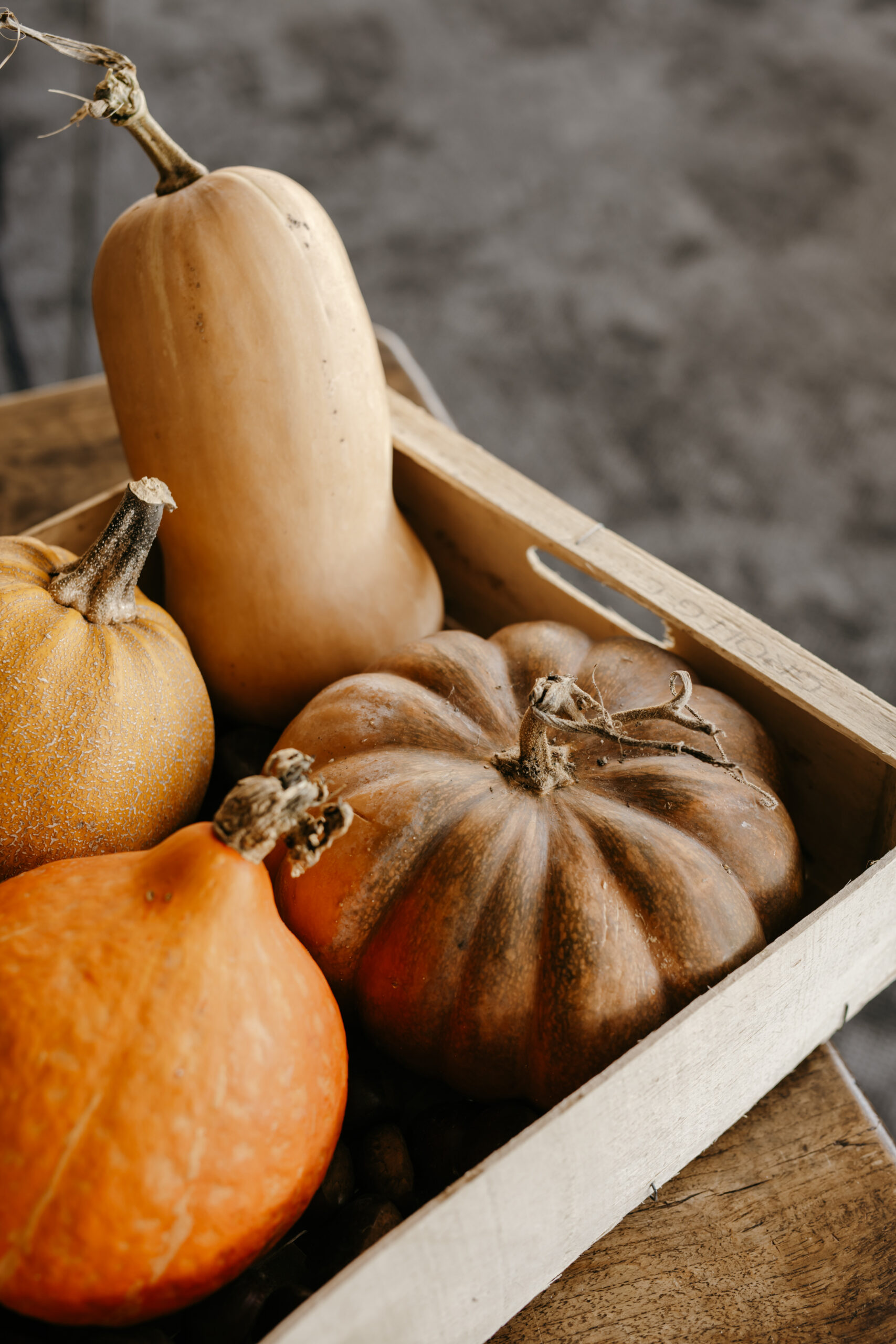 2025 10 10 le goyen R 90 scaled